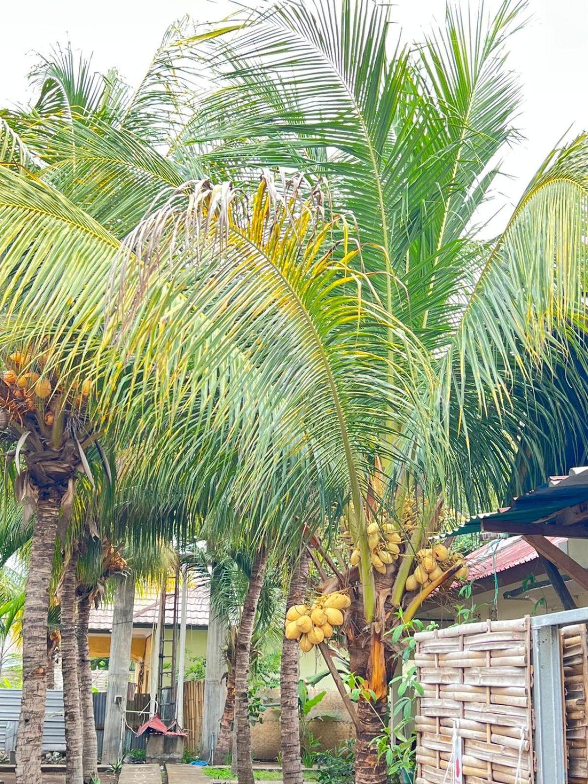 Bias Bungalows Гили-Эйр Экстерьер фото